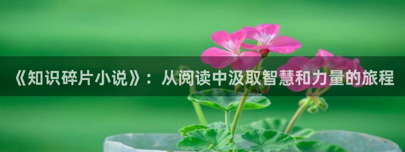 番薯小说tv版官网下载